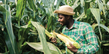 Group Partners Abia on Job Creation for 3,000 Youths