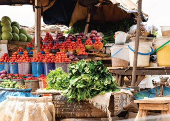 Tough Times As Food Prices skyrocket