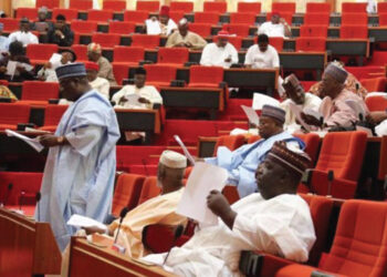 #TwitterBan: PDP Reps Walk Out During Plenary