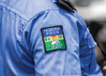 Police Arrests Female Gunrunner with N2.4M in Katsina