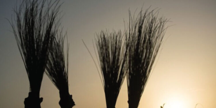 Fresh Crisis Rocks Abia APC as Party Declares Ward Congress Committee Wanted