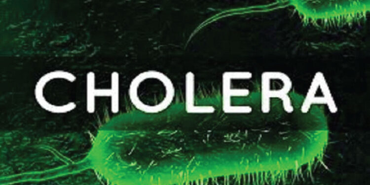 Cholera in Nigeria: Urgent call to strengthen Water, Sanitation and Hygiene (WaSH)