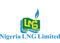 NLNG Denies Contributing To Supply Shortfall Of Cooking Gas, Price Hike