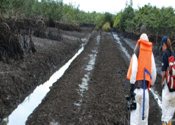 OGONI CLEAN UP: “It’s not true UNEP has taken over execution, implementation process”, Says HYPREP Boss