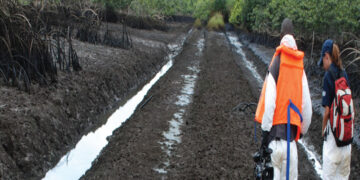 OGONI CLEAN UP: “It’s not true UNEP has taken over execution, implementation process”, Says HYPREP Boss