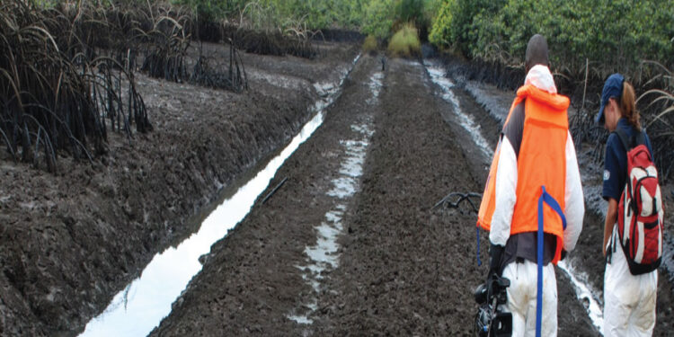 OGONI CLEAN UP: “It’s not true UNEP has taken over execution, implementation process”, Says HYPREP Boss