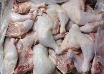 NAFDAC Warns Against Consuming Frozen Chicken, Turkey