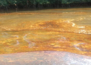 NOSDRA DG Blames Process Of Contacting Int’l Companies For Delay In Containing Nembe Oil Spill