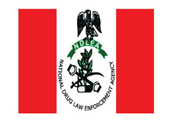 Fight Against Drug Abuse: Keep Supporting Us, NDLEA Boss Urges State Governments