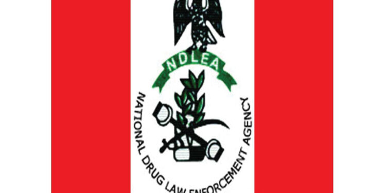 Fight Against Drug Abuse: Keep Supporting Us, NDLEA Boss Urges State Governments