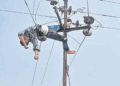 Communication Head Harps On Safety As Technician Falls From Electric Pole