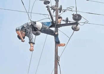 Communication Head Harps On Safety As Technician Falls From Electric Pole