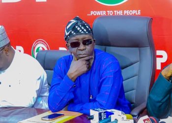 PDP Crisis: Ayu steps aside