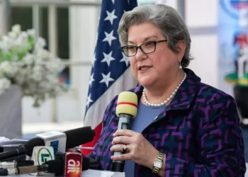 February 25 elections failed to meet Nigerians’ expectations – U.S. Ambassador