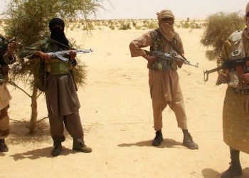 Terrorists kill 10 villagers