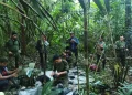 12-month-old baby, 3 other children found in thick forest five weeks after plane crash