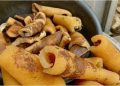 Nigerians urged to stop eating ‘pomo’, bush meat over Anthrax outbreak