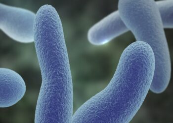 More deaths reported in Kaduna as diphtheria disease spreads