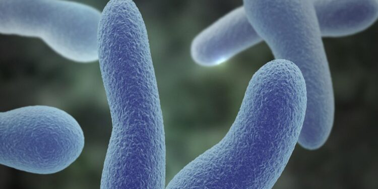 More deaths reported in Kaduna as diphtheria disease spreads