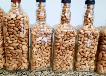 Article: Why you should refrain from regularly consuming groundnuts