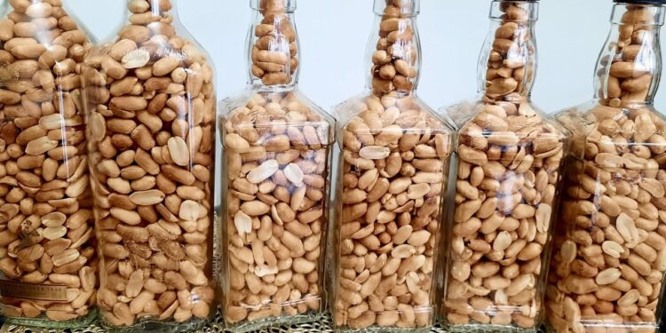 Article: Why you should refrain from regularly consuming groundnuts