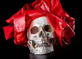 Human blood, skull found in Photographer’s bag