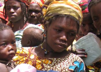 Nigerians residing in Niger call on FG to extend palliatives to them