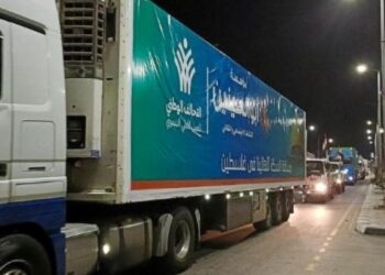 Trucks carrying humanitarian aid start entering Gaza via Egypt