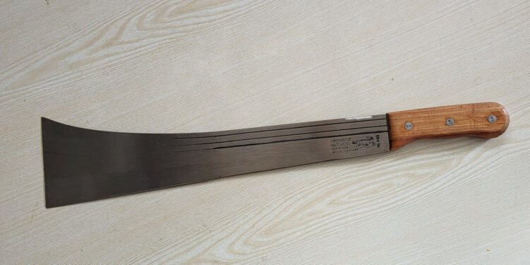 Man kills elder brother for allegedly disturbing him for sex