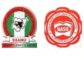 SSANU, NASU go on  strike