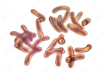 Cholera outbreak kills atleast 53 people across 31 states