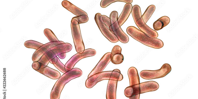 Cholera outbreak kills atleast 53 people across 31 states