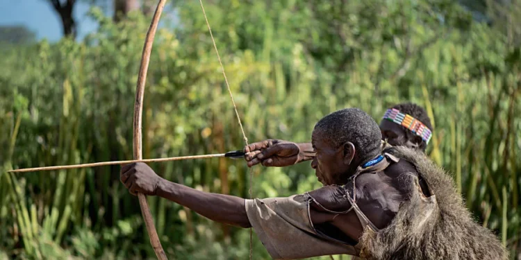 Hunters seek governors, police nod to enter forests, smoke bandits out of their hiding places