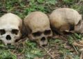 Human skulls, bones found in vigilante commander’s hideout in Rivers