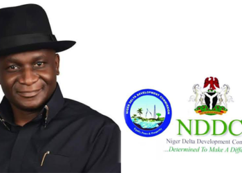NDDC boss lambasted for aspersion on MOSOP