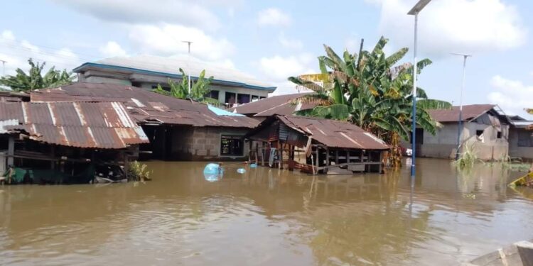 Bayelsa: Flood sacks thousands in Biseni Kingdom
