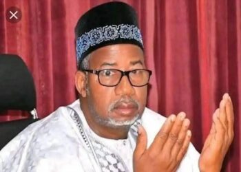 Presidency urges Bauchi governor to retract his ‘we’ll show Tinubu our true colour’ remark