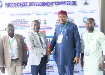 Niger Delta Needs Integrated Strategies for Safe Environment – NDDC Director