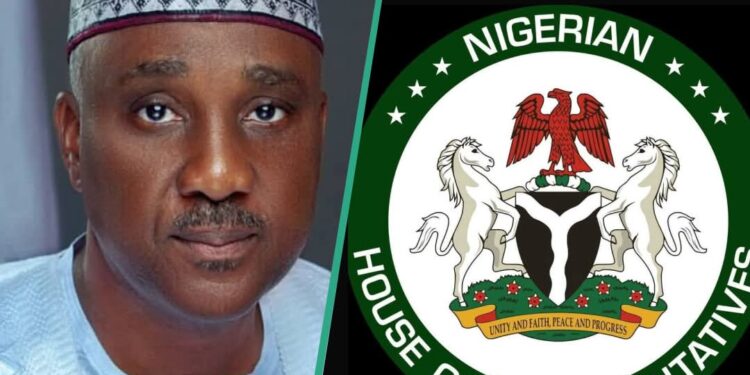 Speaker Abbas condemns bandits’ attack on tomato traders