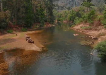 Site where people go to fetch “healing water” demolished