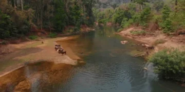 Site where people go to fetch “healing water” demolished
