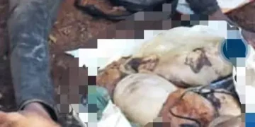 25-year-old man carrying human organs to native doctor for money ritual caught