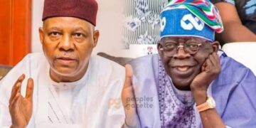 APC Chieftain accuses Pres. Tinubu of mobilising his people against other Nigerians