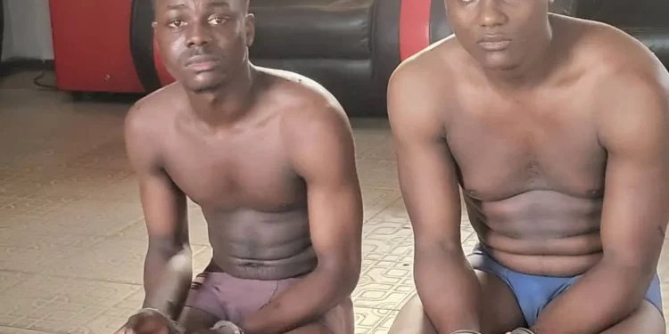 Two brothers arrested for allegedly kidnapping, withdrawing N70m from victim’s bank account