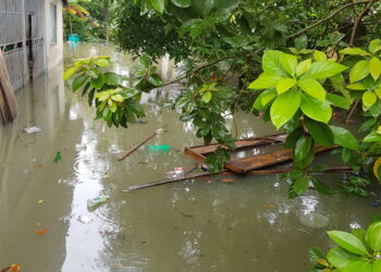 Homes, schools, churches submerged in Port Harcourt heavy downpour