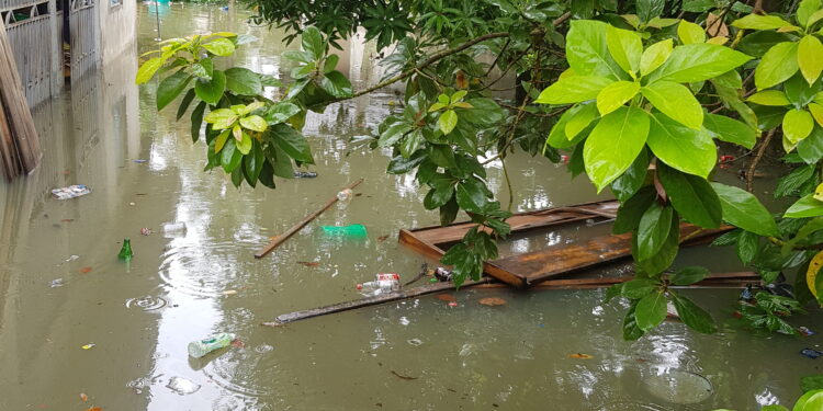 Homes, schools, churches submerged in Port Harcourt heavy downpour