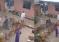 Police arrest prophet in viral video flogging naked children in Port Harcourt church