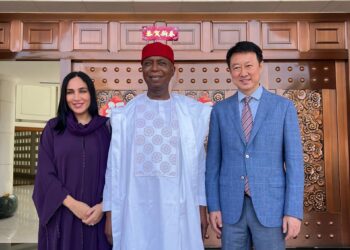 Senator Nwoko: Legislative ambassador of the African renaissance By Dr. Omenazu Jackson