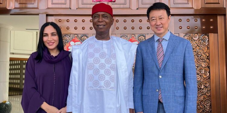 Senator Nwoko: Legislative ambassador of the African renaissance By Dr. Omenazu Jackson