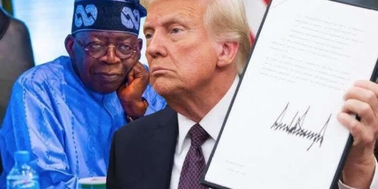 Nigeria: ‘Thousands of Christians are being killed, something must be done’ – Trump